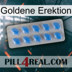 Golden Erection 22